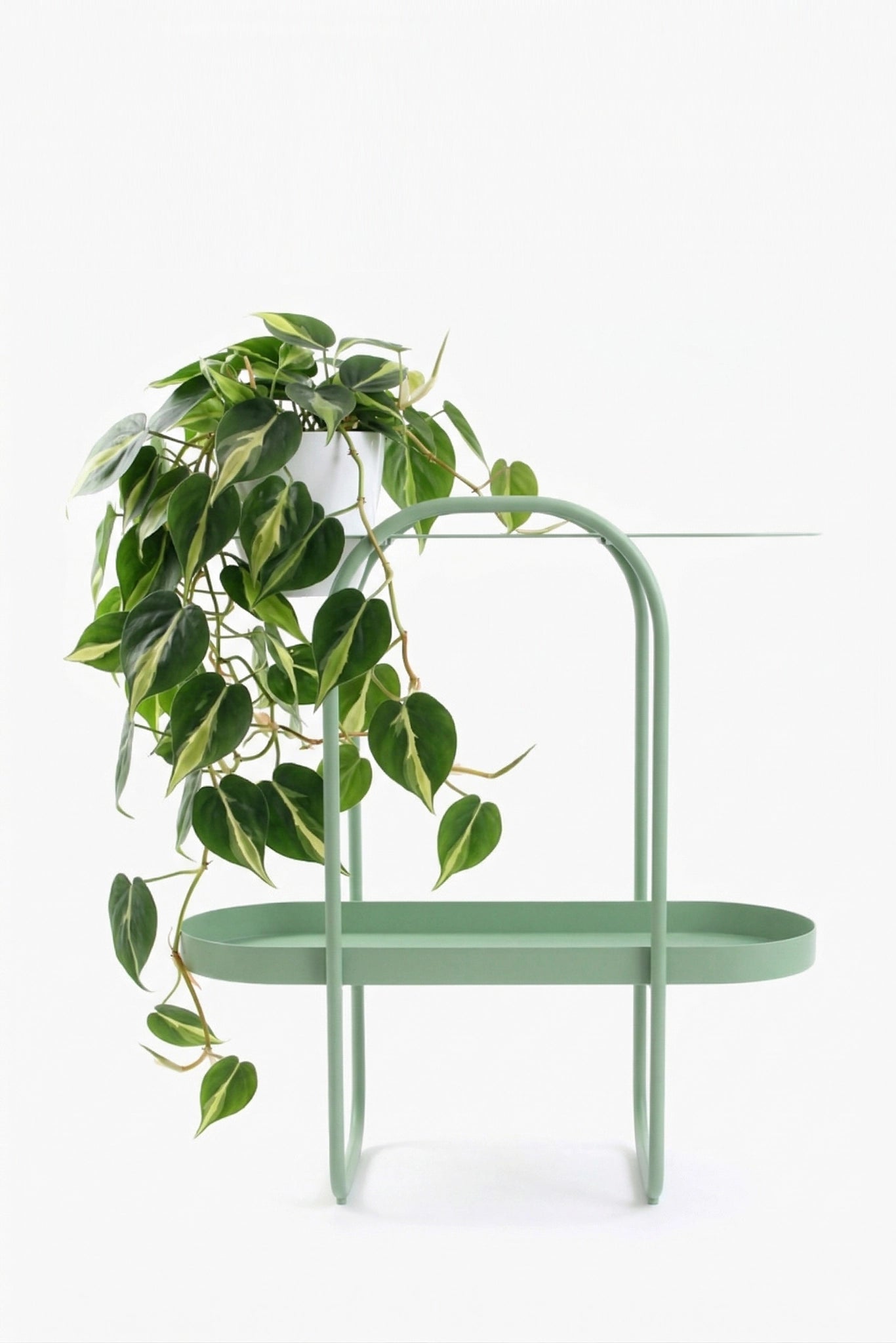 Pistacjowy