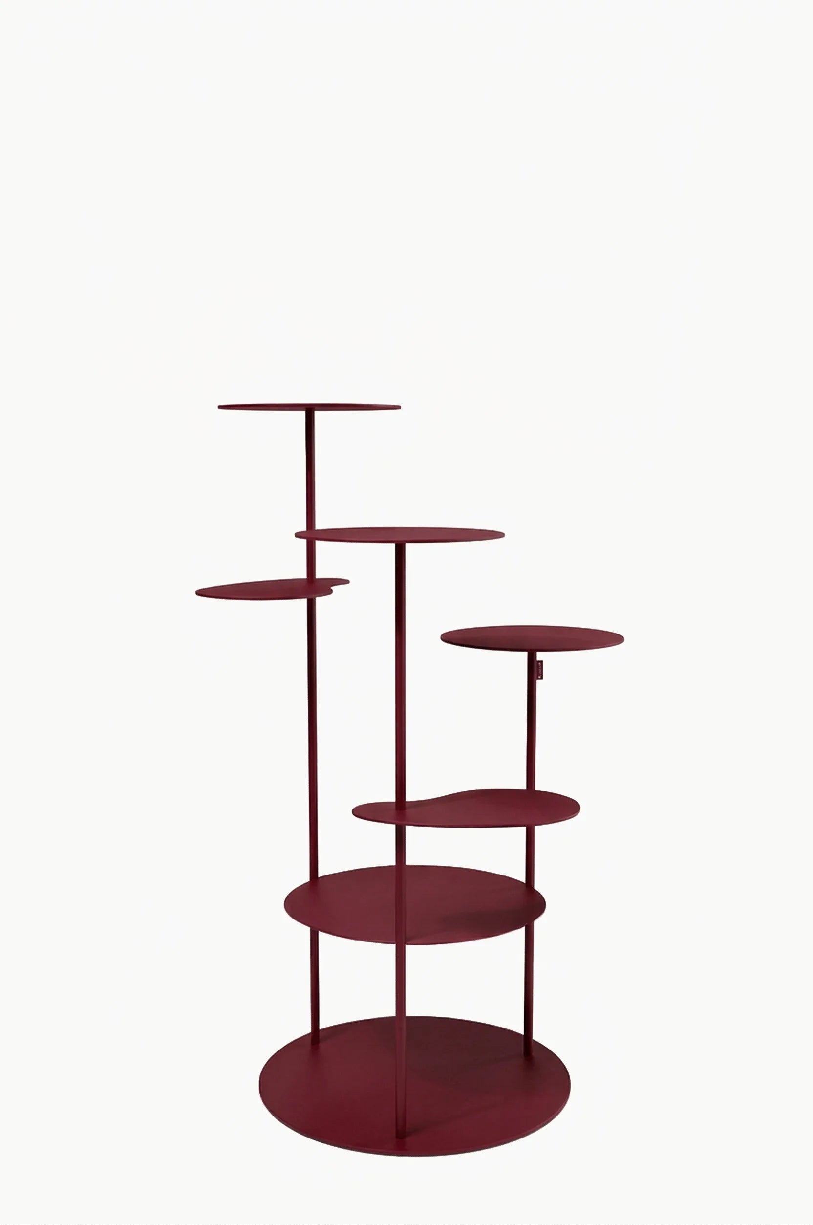 burgundowy