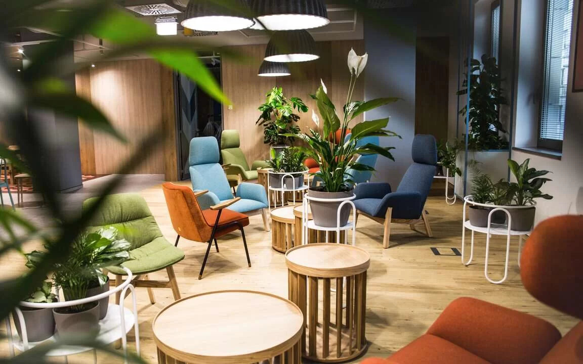 5 korzyści z wprowadzania zieleni do wnętrz biur, restauracji i hoteli.