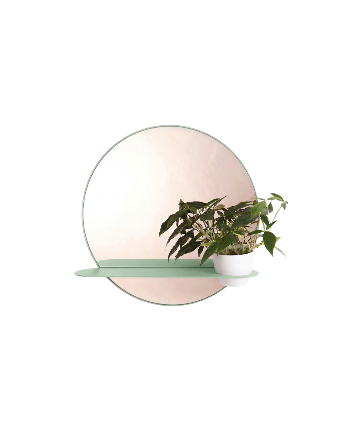 pistacjowy