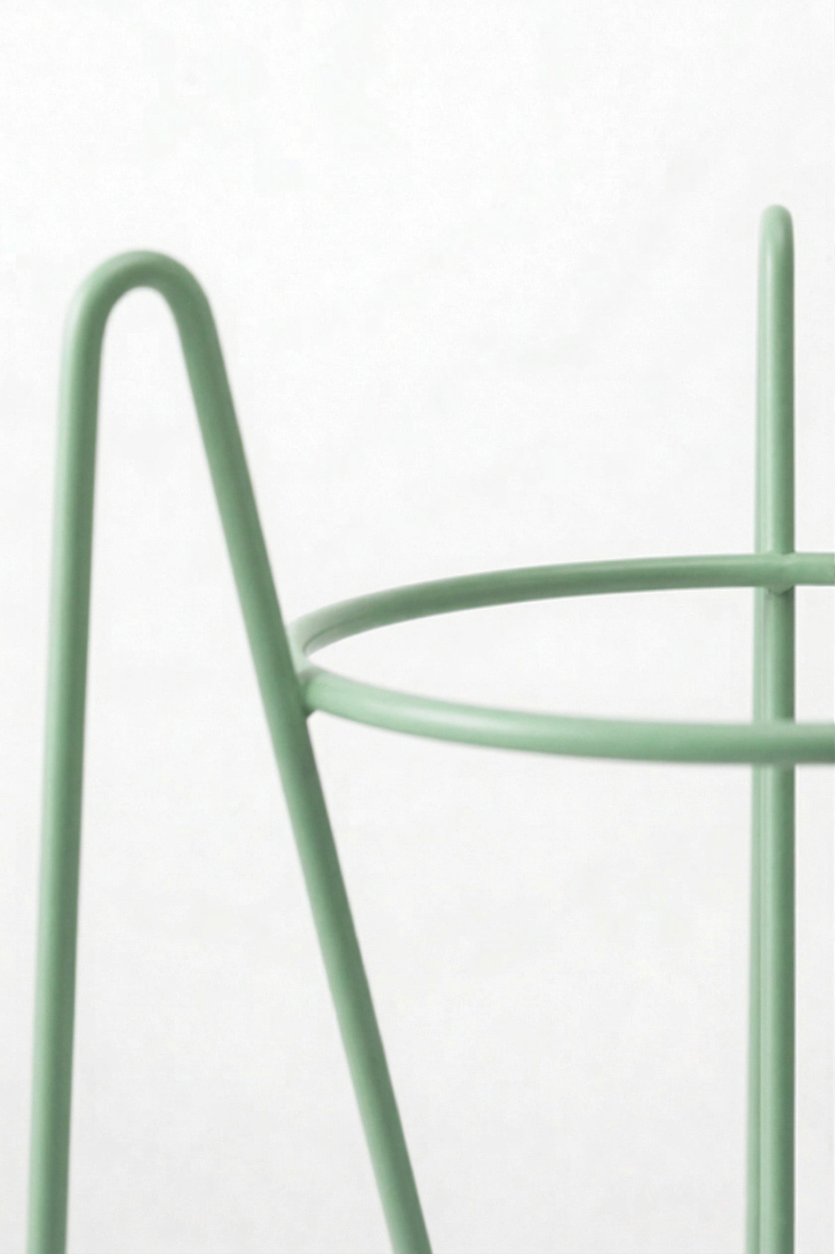 pistacjowy