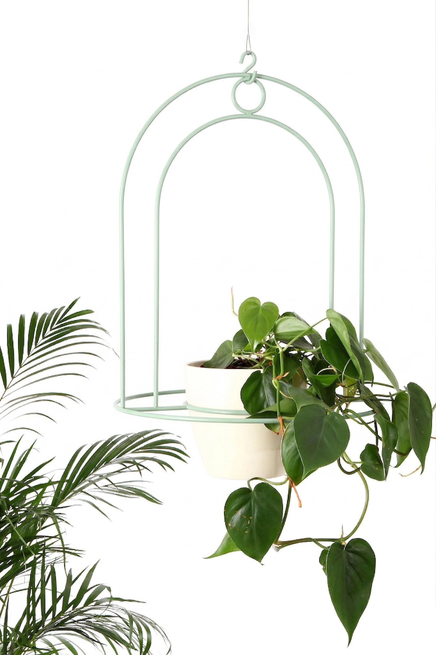 pistacjowy