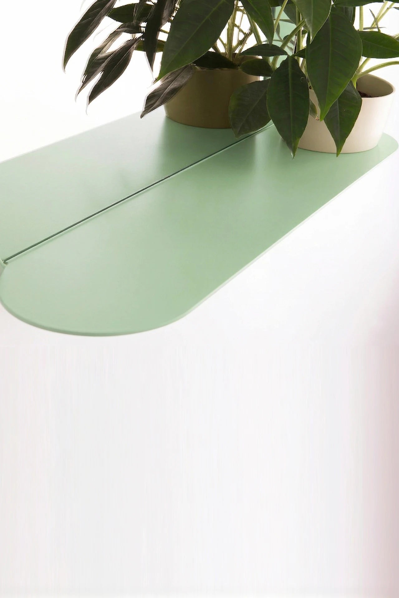 pistacjowy