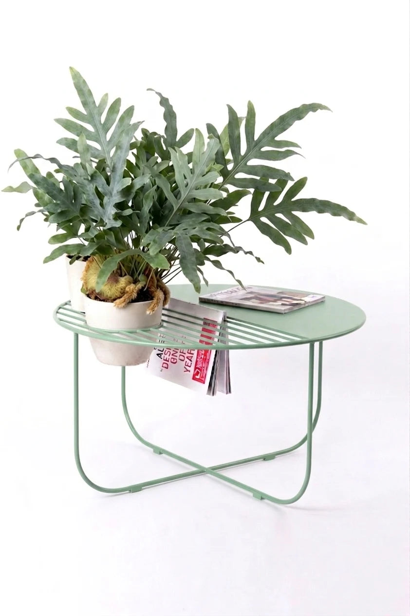 pistacjowy