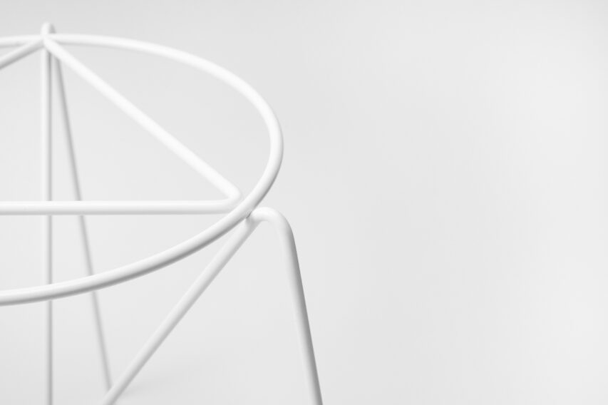 Bujnie kwietnik Bona biały zbliżenie fot. Marek Swoboda